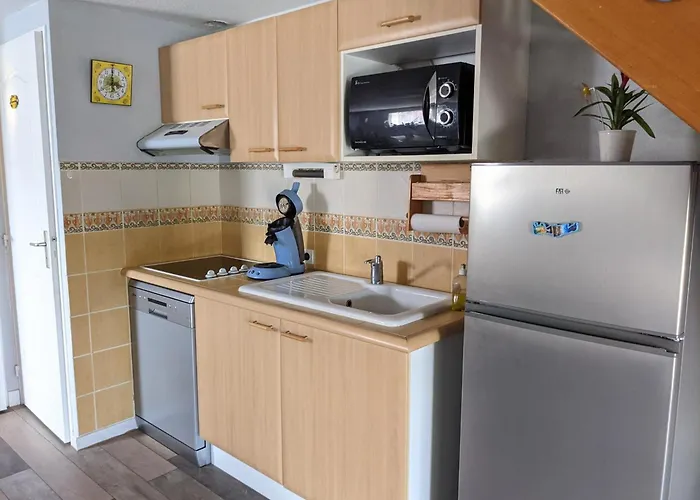 Belle Climatisee T3 Avec Mezzanine, Jardin Arbore, Garage Et A 900m De La Plage, 6/7 Personnes - Fr-1-797-36 Villa