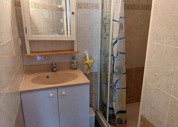 Belle Climatisee T3 Avec Mezzanine, Jardin Arbore, Garage Et A 900m De La Plage, 6/7 Personnes - Fr-1-797-36 Villa *