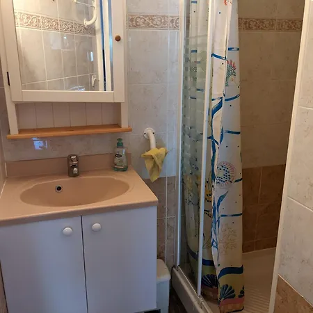 Belle Climatisee T3 Avec Mezzanine, Jardin Arbore, Garage Et A 900m De La Plage, 6/7 Personnes - Fr-1-797-36 Vila *