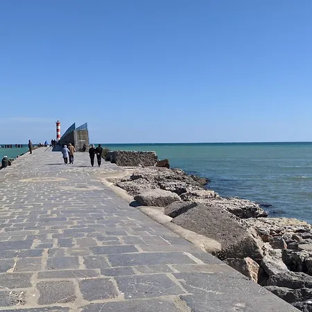 Belle Climatisee T3 Avec Mezzanine, Jardin Arbore, Garage Et A 900m De La Plage, 6/7 Personnes - Fr-1-797-36 Вилла